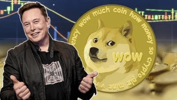 狗狗币是特斯拉出的吗，狗狗币是特斯拉出的吗是真的吗