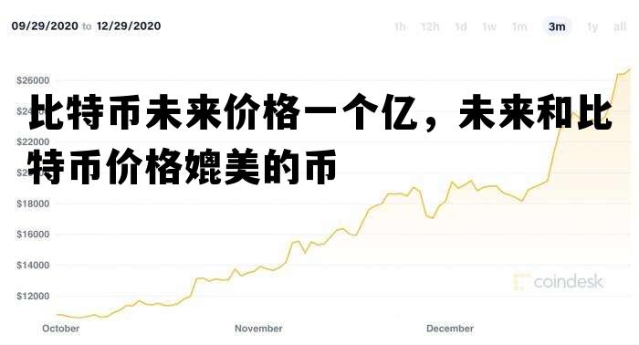 比特币未来价格一个亿，未来和比特币价格媲美的币