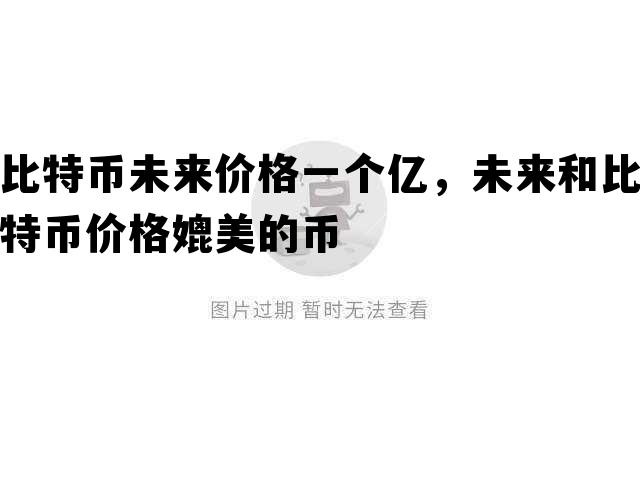 比特币未来价格一个亿，未来和比特币价格媲美的币