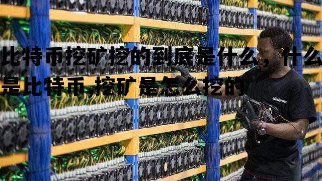 比特币挖矿挖的到底是什么，什么是比特币,挖矿是怎么挖的