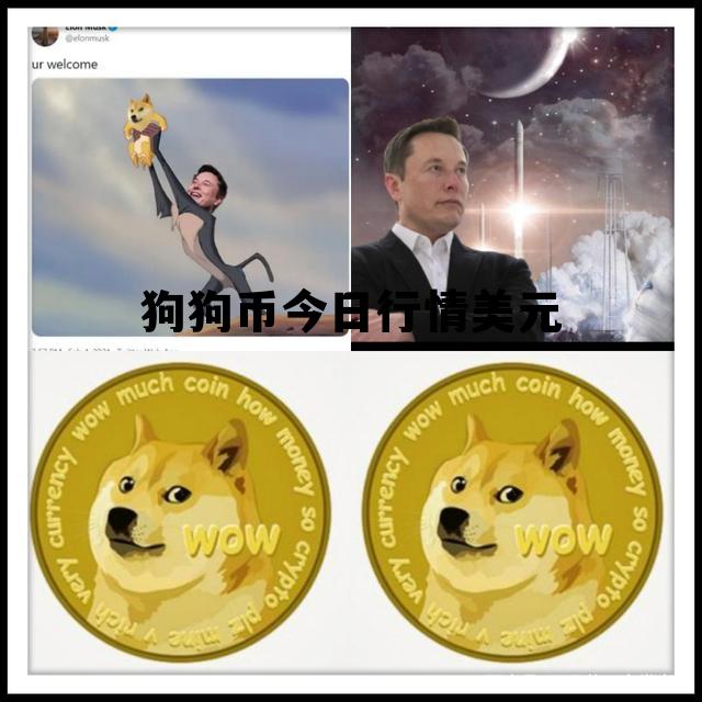 狗狗币今日行情美元，狗狗币的实时行情美元