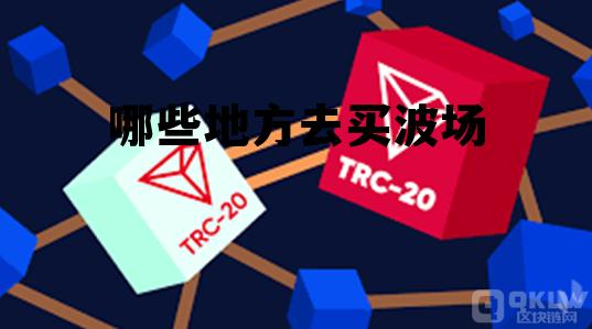 包含哪些地方去买波场的词条