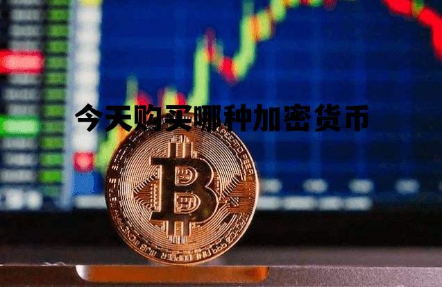 今天购买哪种加密货币，今天购买哪种加密货币最好